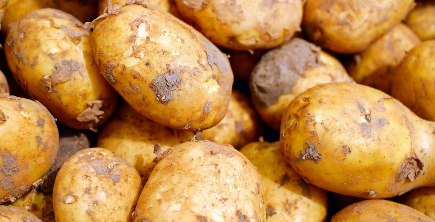 Washed potatoes