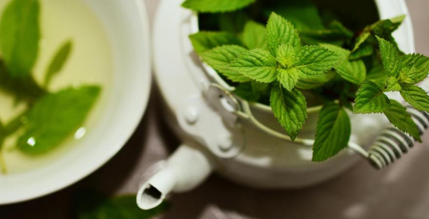 Mint leaves