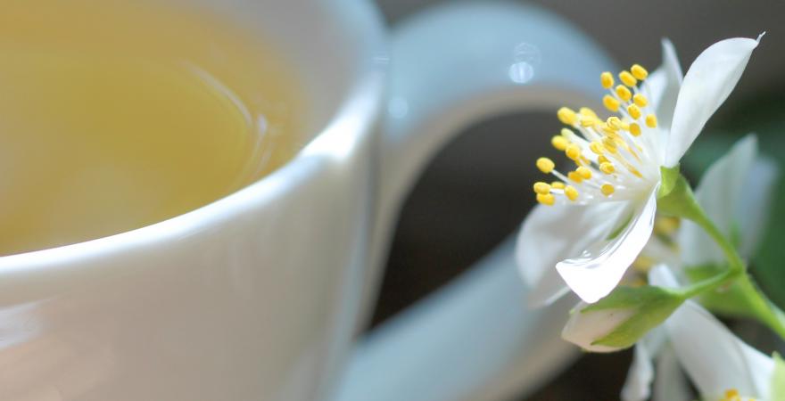 Jasmine flower and tea