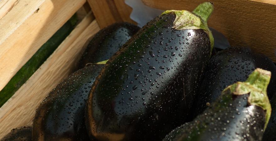 eggplants in a wooden box