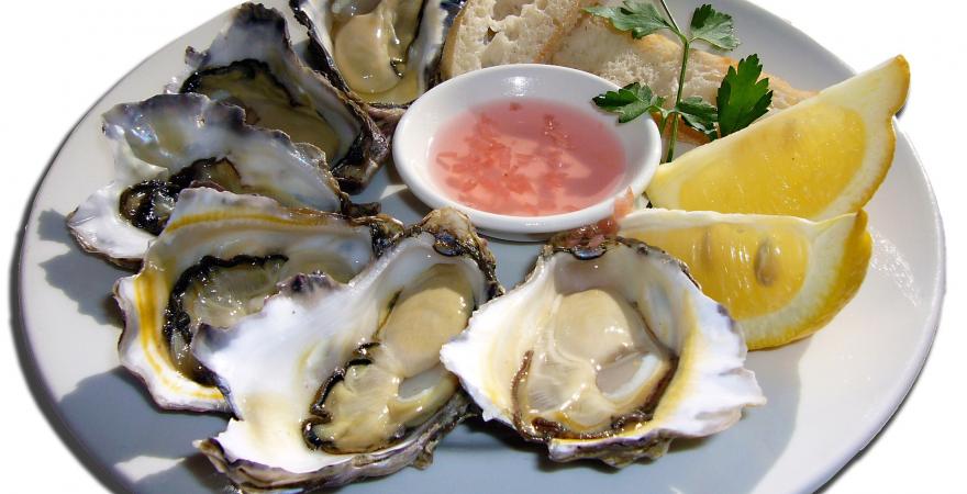 Oysters on a plate