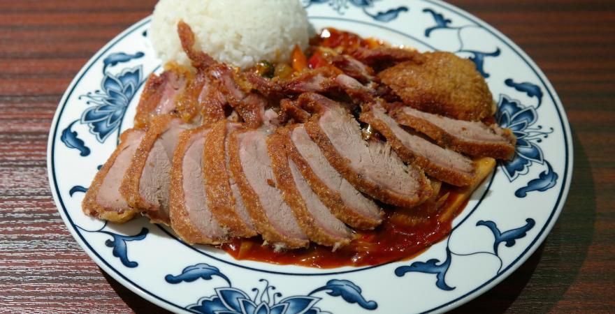 Cooked duck and rice on a plate