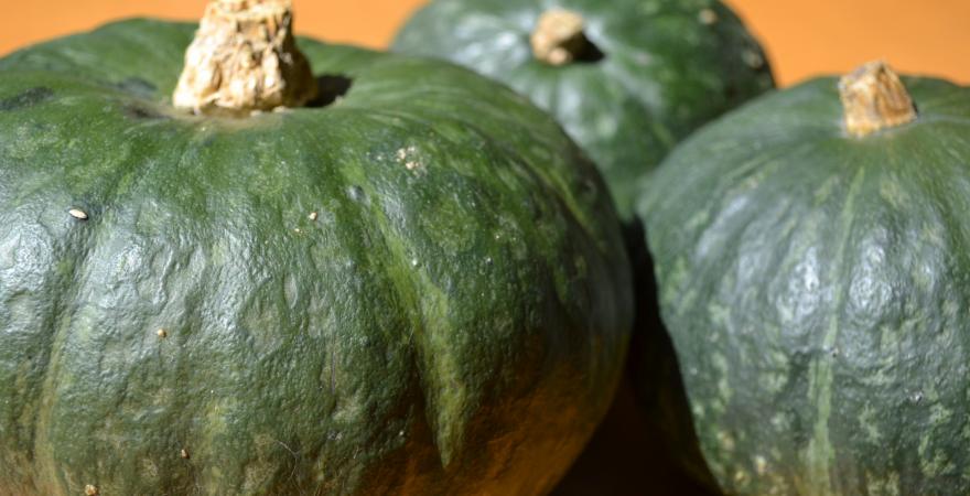 Pumpkins on a table