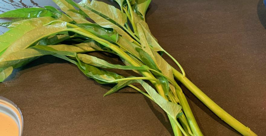 Chinese Water Spinach