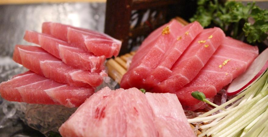 Tuna sashimi