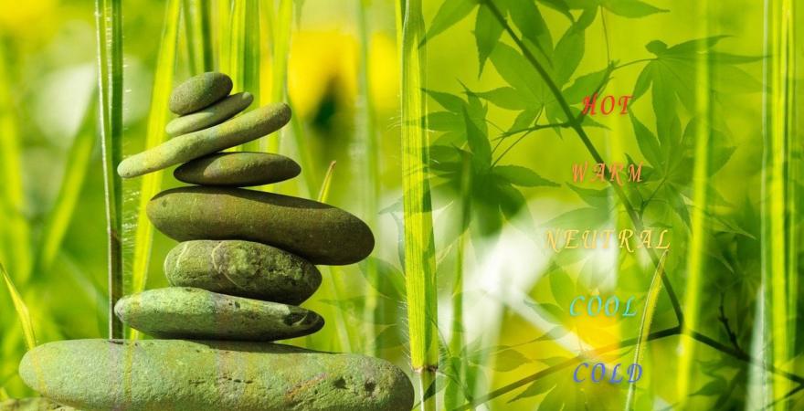 5 natures in TCM