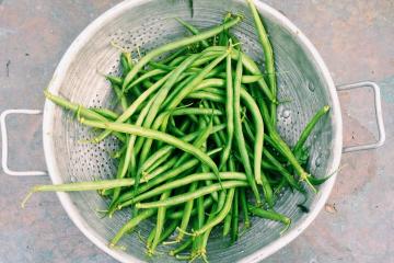 Green beans