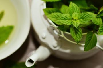 Mint leaves