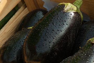 eggplants in a wooden box