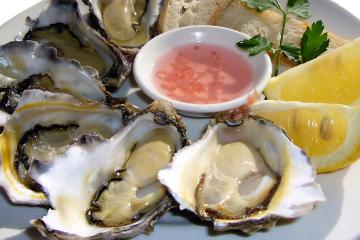 Oysters on a plate