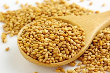 white sesame seeds on a wooden spoon