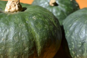 Pumpkins on a table