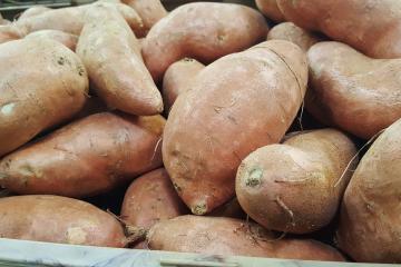 Sweet potatoes