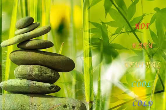 5 natures in TCM