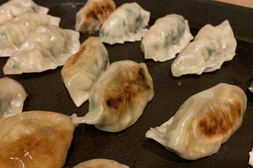 Gyoza