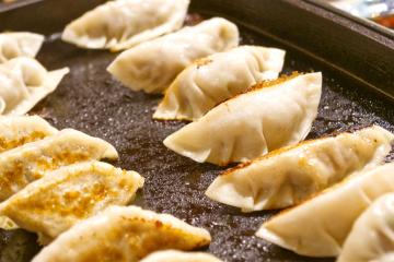 gyoza on a hotplate